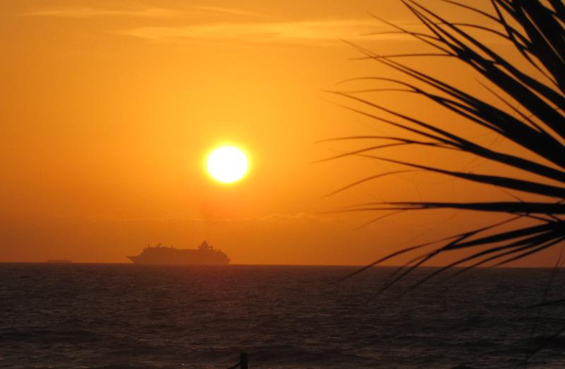 sunrise, palm, and cruise ship